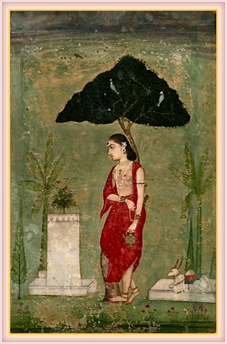 A Vishnu to worship